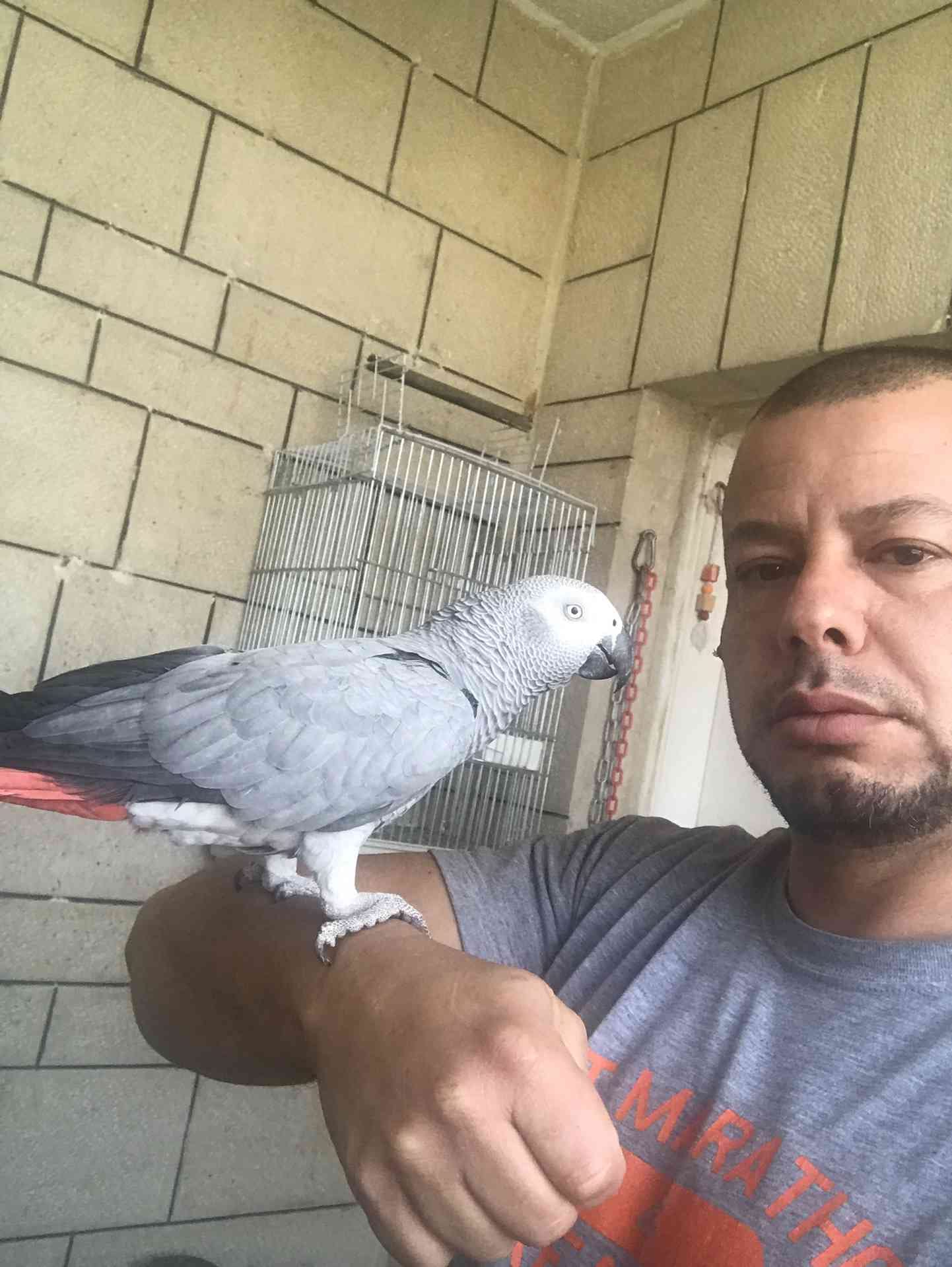 كاسكو اليف متكلم للبيع
لا تنسَ أنك شاهدت هذا الإعلان في عنكبوت
كاسكو متكلم اكثر من 30 كلمه ال...