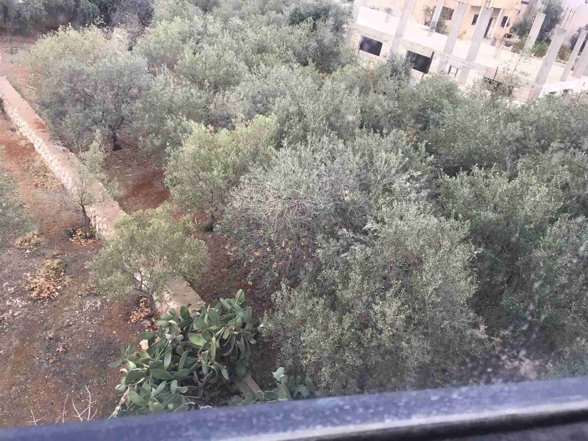 فيلا دوبلكس في ابو علندا
لا تنسَ أنك شاهدت هذا الإعلان في عنكبوت
فيلا دوبلكس في ابو علندا اسك...