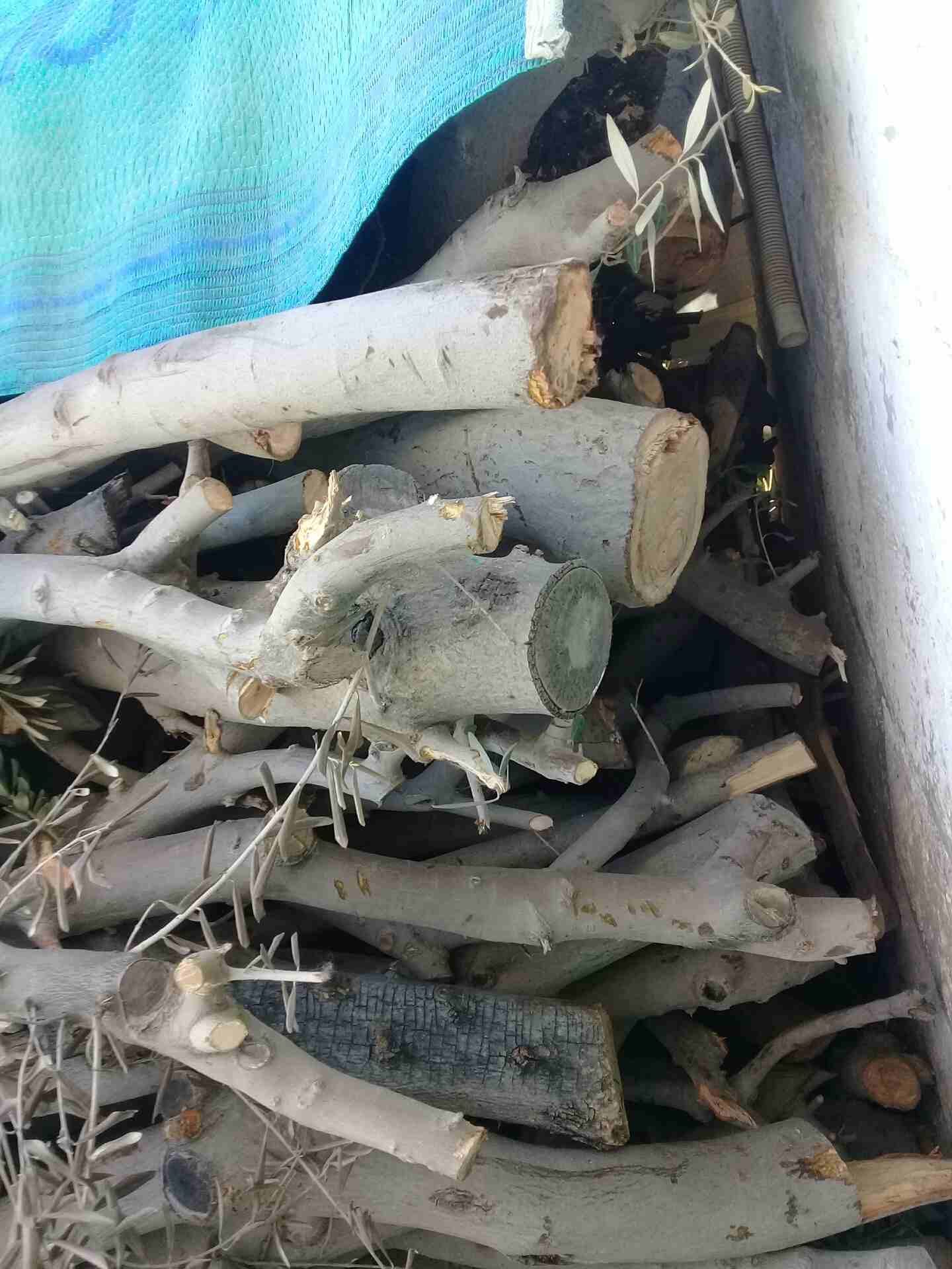 حطب قرامي
لا تنسَ أنك شاهدت هذا الإعلان في عنكبوت
حطب قرامي زيتون السنه...