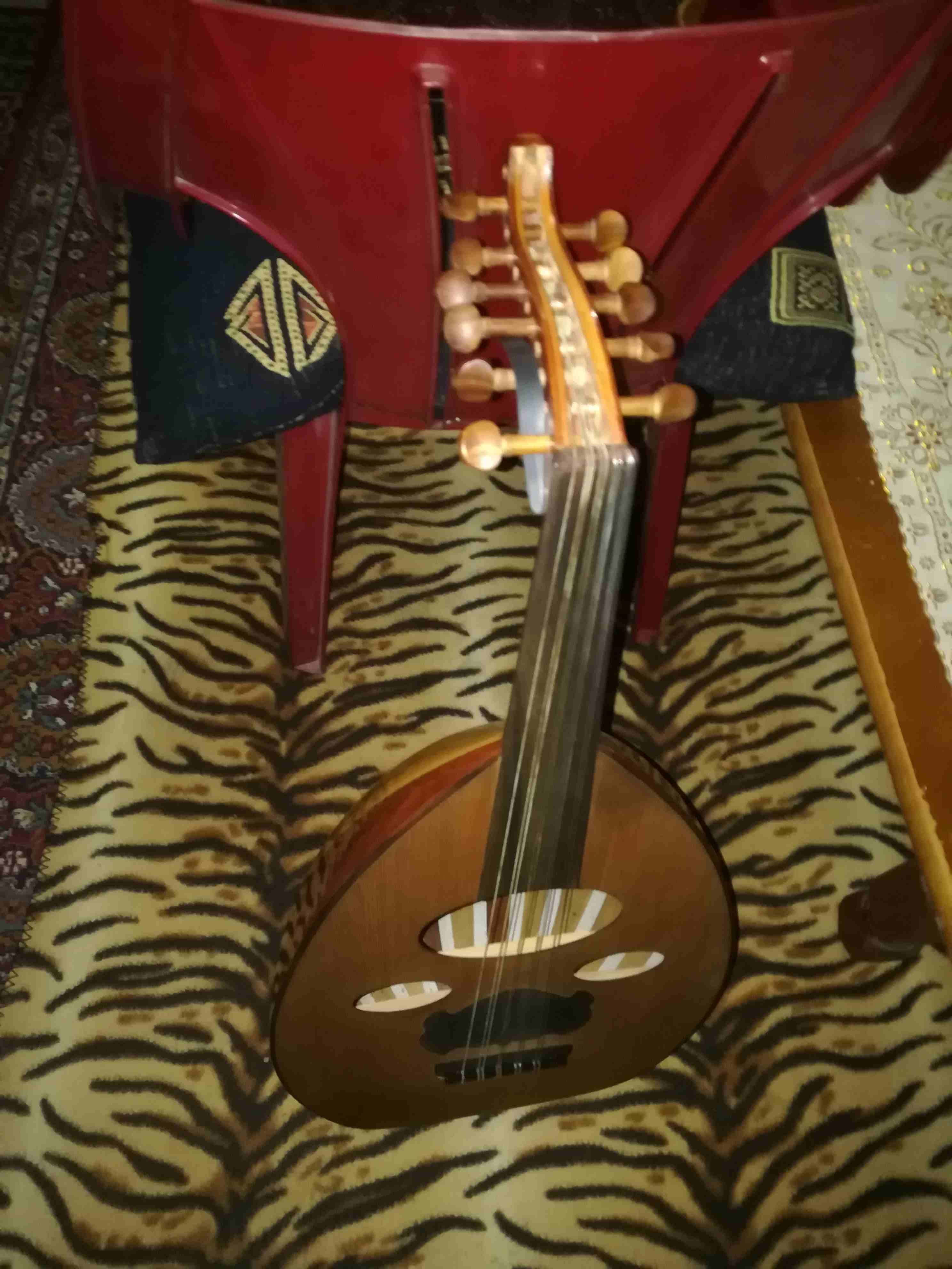 عود زرياب خشب ورد صوت حنون جدا ورائع
لا تنسَ أنك شاهدت هذا الإعلان في عنكبوت
صوتو حلو استعمال ق...