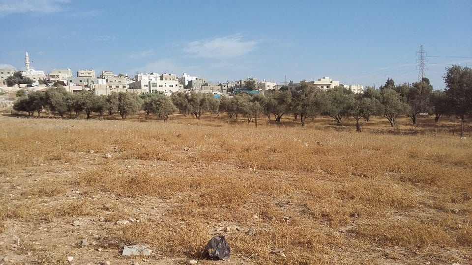 الأردن - عمان
ارض للبيع في الجويدة/ المستندات و ام زعرورة - قرب مسجد ابو بكر الصديق
القرية: الجويدة
حوض: المستندات و ام زعرورة
الموقع: المنطقة الواقعة مقابل نادي الرماية الملكي - قرب مسجد ابو بكر...
