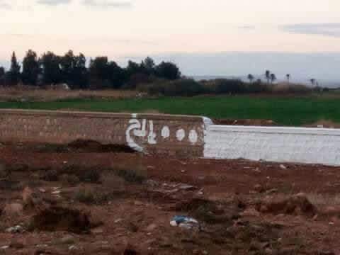 بلا ولا شي
لا تنسَ أنك شاهدت هذا الإعلان في عنكبوت
احلى من هيك ما في...