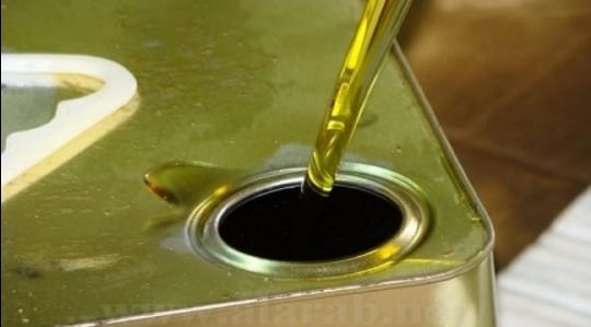 زيت زيتون بلدي مكفول
لا تنسَ أنك شاهدت هذا الإعلان في عنكبوت
من مزارعنا بالرمثا65دينار...