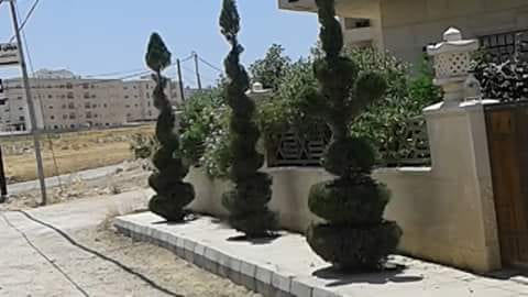 تنسيق حدائق
لا تنسَ أنك شاهدت هذا الإعلان في عنكبوت
تنسيق حدائق 0788445103
رقم الم...