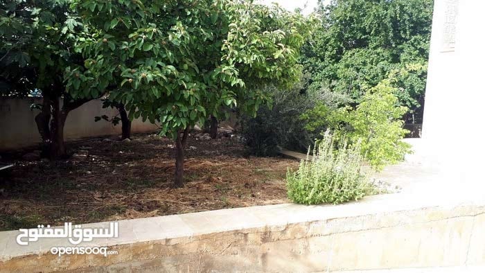 عمااره 1320م في خلدا خلف الستي موول على شارعين للبيع بدااااعي الهجره
لا تنسَ أنك شاهدت هذا الإعلان في عنكبوت...