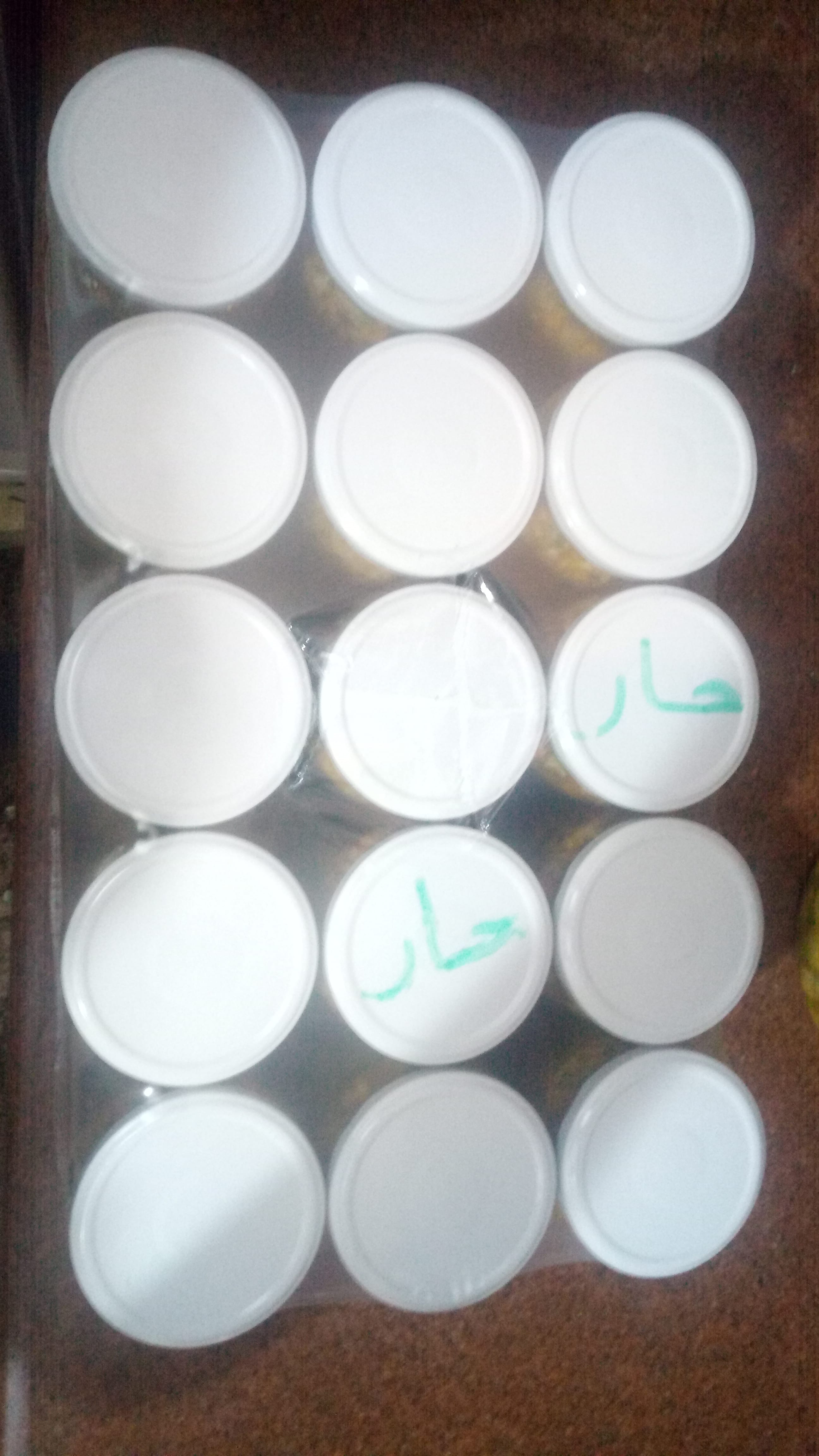 زيتون مفروم مع جزر جاهز للاكل
لا تنسَ أنك شاهدت هذا الإعلان في عنكبوت
شغل بيت...