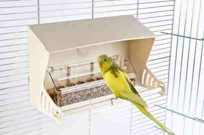 اجمل الأقفاص والإكسسوارت الإيطالية - القلعة للطيور والحيوانات الأليفة
لا تنسَ أنك شاهدت هذا الإعلان في عنكبوت...