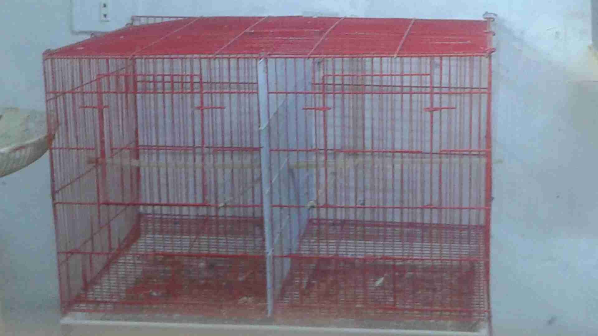0795124858
لا تنسَ أنك شاهدت هذا الإعلان في عنكبوت
مطاير للبيع العدد2 اسعر30دينار...