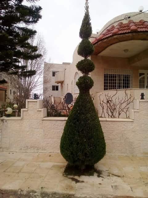 تنسيق حدائق
لا تنسَ أنك شاهدت هذا الإعلان في عنكبوت
تنسيق حدائق 0788445103
رقم الم...