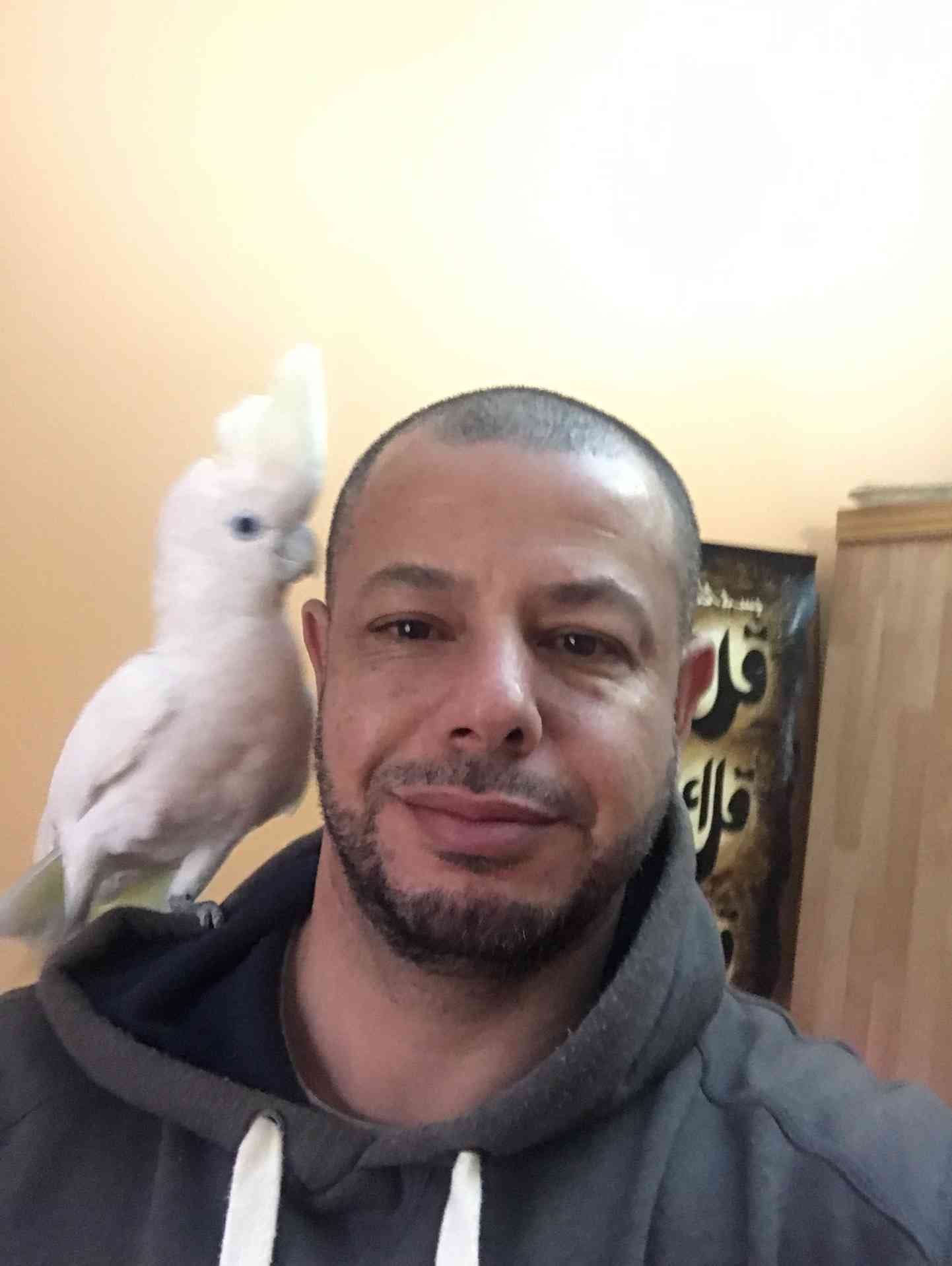 كوكاتو بلوقوفن اليف للبيع 300 دينار
لا تنسَ أنك شاهدت هذا الإعلان في عنكبوت
كوكاتو قوفن اليفه...