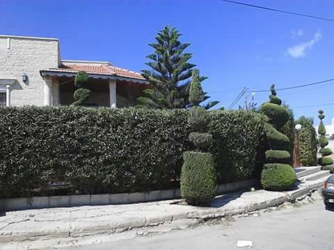 تنسيق حدائق
لا تنسَ أنك شاهدت هذا الإعلان في عنكبوت
تنسيق حدائق 0788445103
رقم الم...