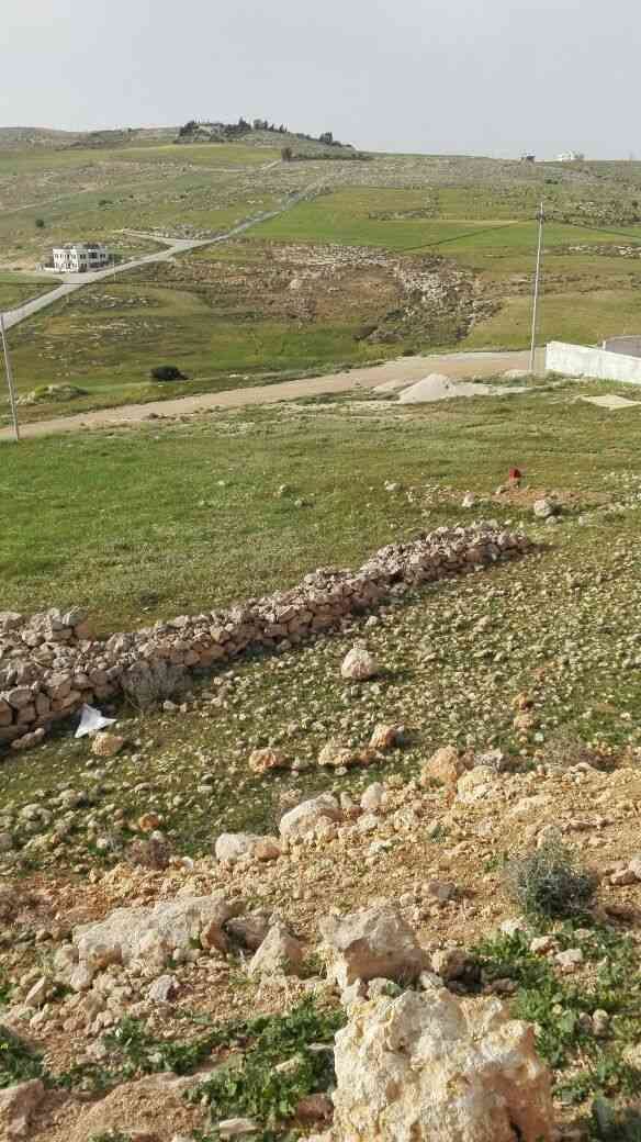 شروة العمر.. ارض شفابدران المقرن2
لا تنسَ أنك شاهدت هذا الإعلان في عنكبوت
شروة العمر...........