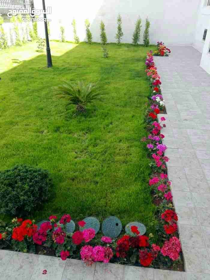تنسيق الحدائق وتركيب نجيل صناعي وطبيعي زراعة جميع انواع الأشجار مثمر وزينه
لا تنسَ أنك شاهدت هذا الإعلان في عنكبوت...