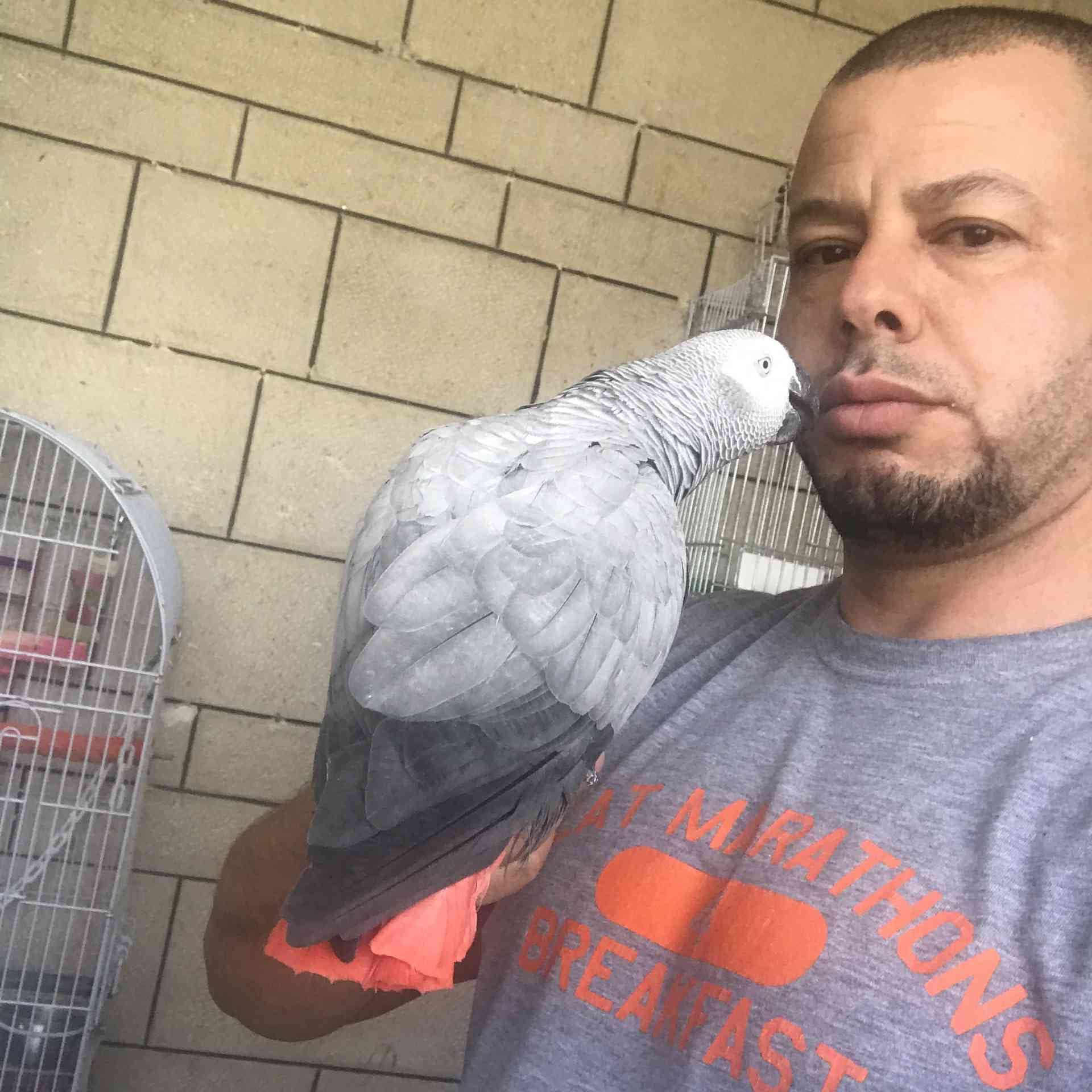 كاسكو اليف متكلم للبيع
لا تنسَ أنك شاهدت هذا الإعلان في عنكبوت
كاسكو متكلم اكثر من 30 كلمه ال...