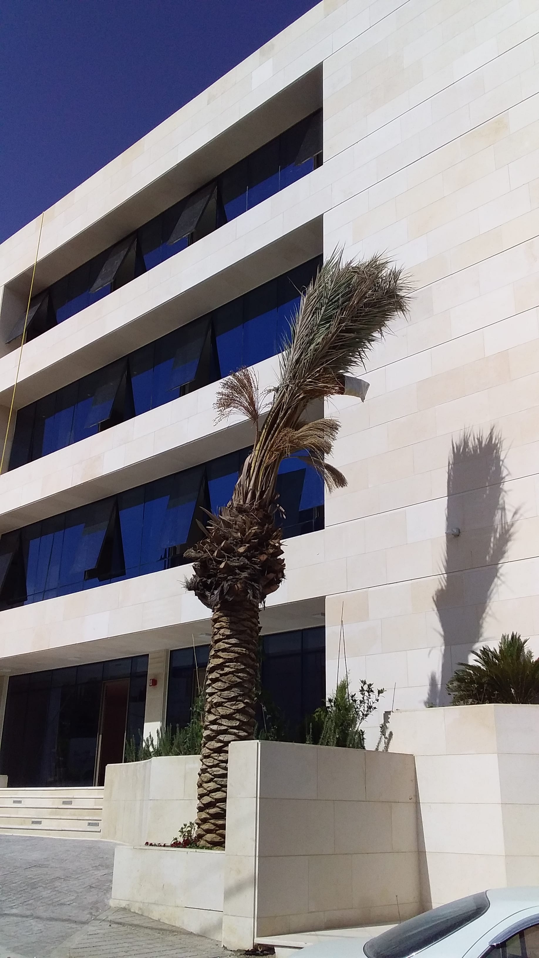 عيادات طبية جديدة للايجار من المالك
لا تنسَ أنك شاهدت هذا الإعلان في عنكبوت
عيادات طبية جديدة...