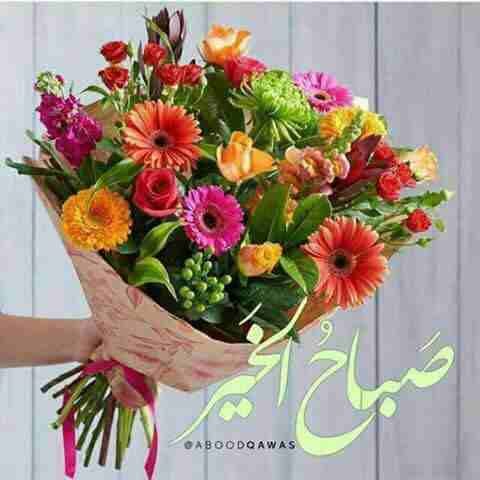 شقه للايجار في ضاحية الاقصى
لا تنسَ أنك شاهدت هذا الإعلان في عنكبوت
شقه للايجار في ضاحية الاقصى ا...