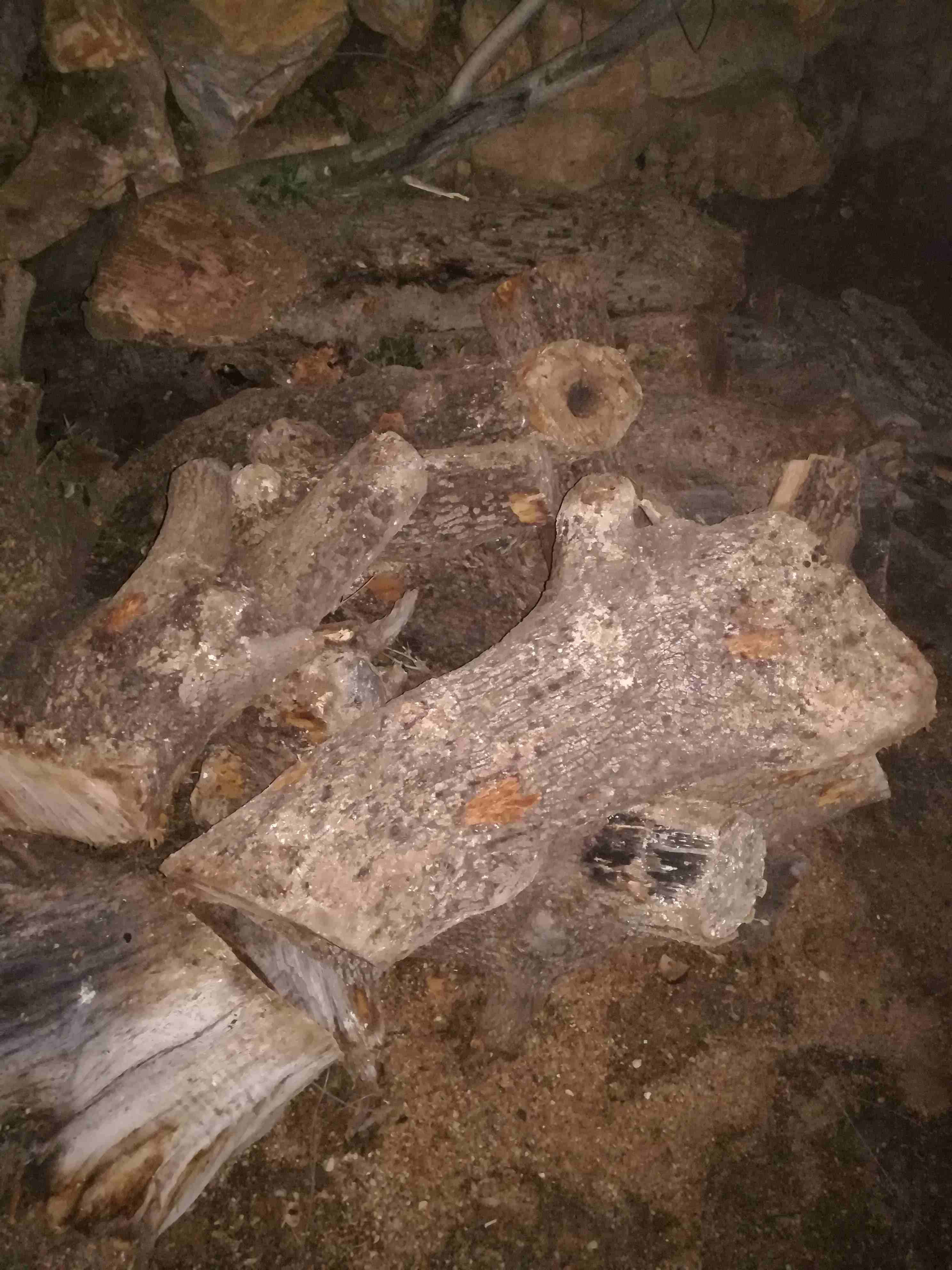 حطب بلوط اصلي للبيع
لا تنسَ أنك شاهدت هذا الإعلان في عنكبوت
حطب يابس للبيع بلوط اصلي سعر طون 100...