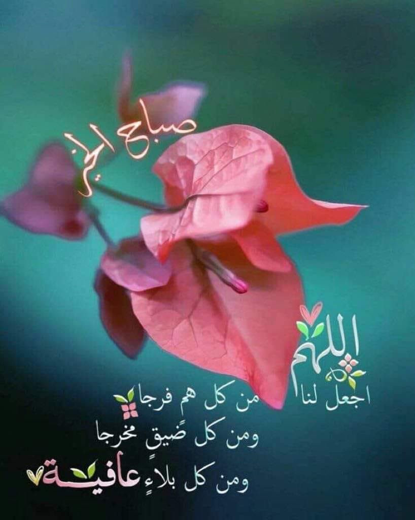 اربد الحصن
لا تنسَ أنك شاهدت هذا الإعلان في عنكبوت
الجهاز تب نظافة والسعر من الاخر معه كرتونه...