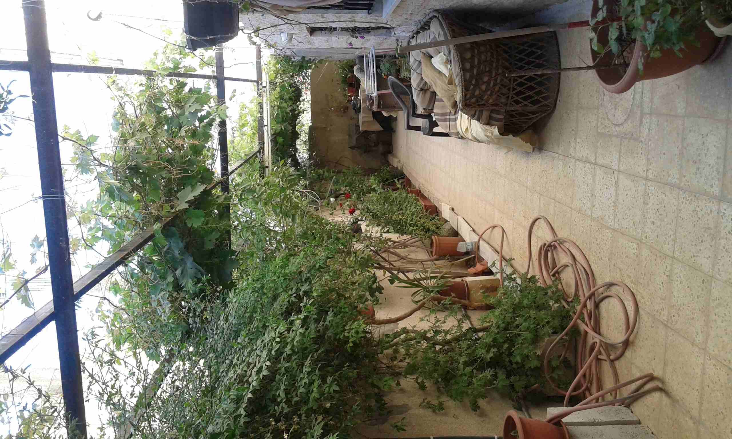 ابو علندا/الرقيم/خلف مطاحن زهرة المدائن شارع عبد الحميد الشوبكي
لا تنسَ أنك شاهدت هذا الإعلان في عنكبوت...