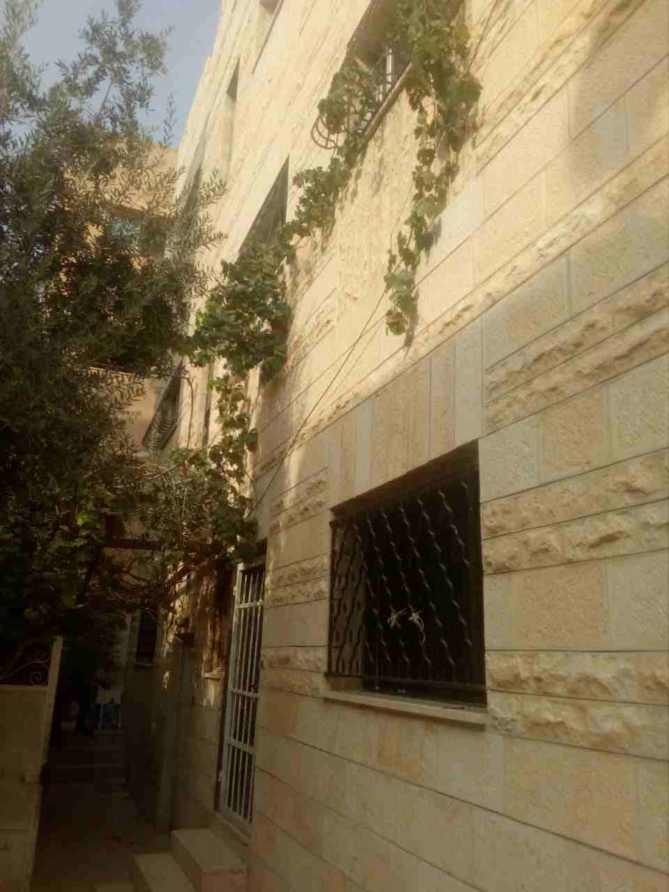 عمارة استثمارية للبيع ام نوارة
لا تنسَ أنك شاهدت هذا الإعلان في عنكبوت
في ام نوارة أراضي جنوب ع...