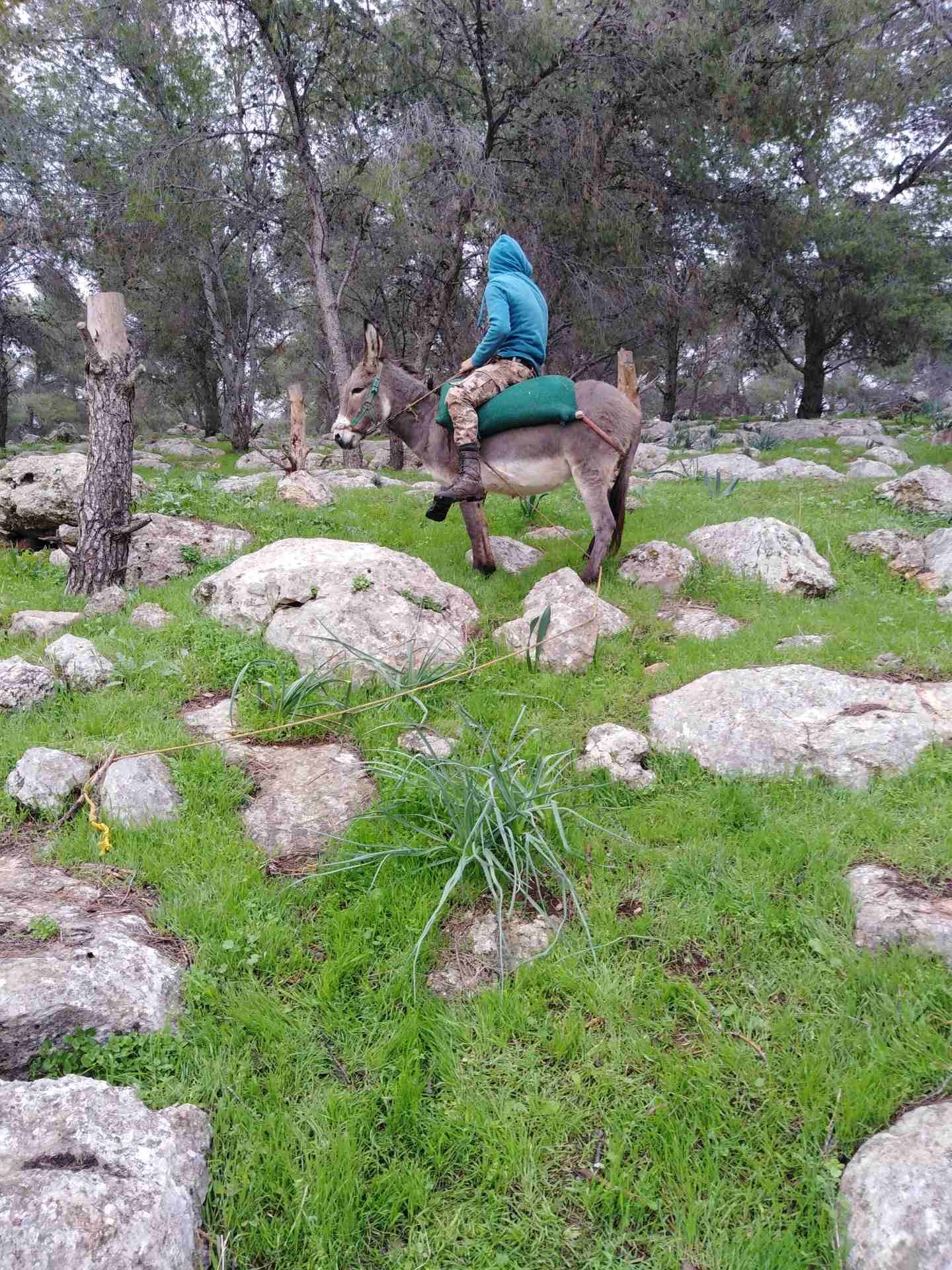 حماره حراثه
لا تنسَ أنك شاهدت هذا الإعلان في عنكبوت
حماره البيع حراثه ميه بلاميه...