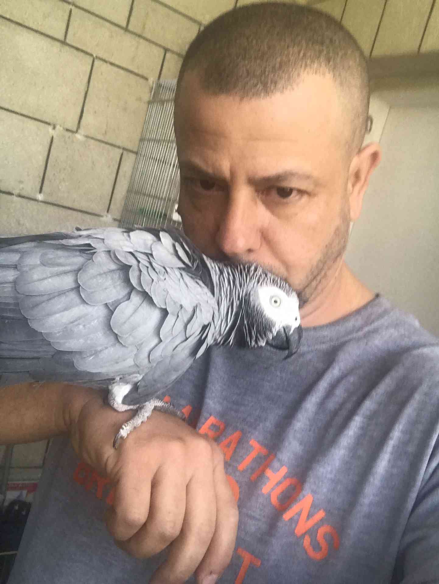 كاسكو اليف متكلم للبيع
لا تنسَ أنك شاهدت هذا الإعلان في عنكبوت
كاسكو متكلم اكثر من 30 كلمه ال...