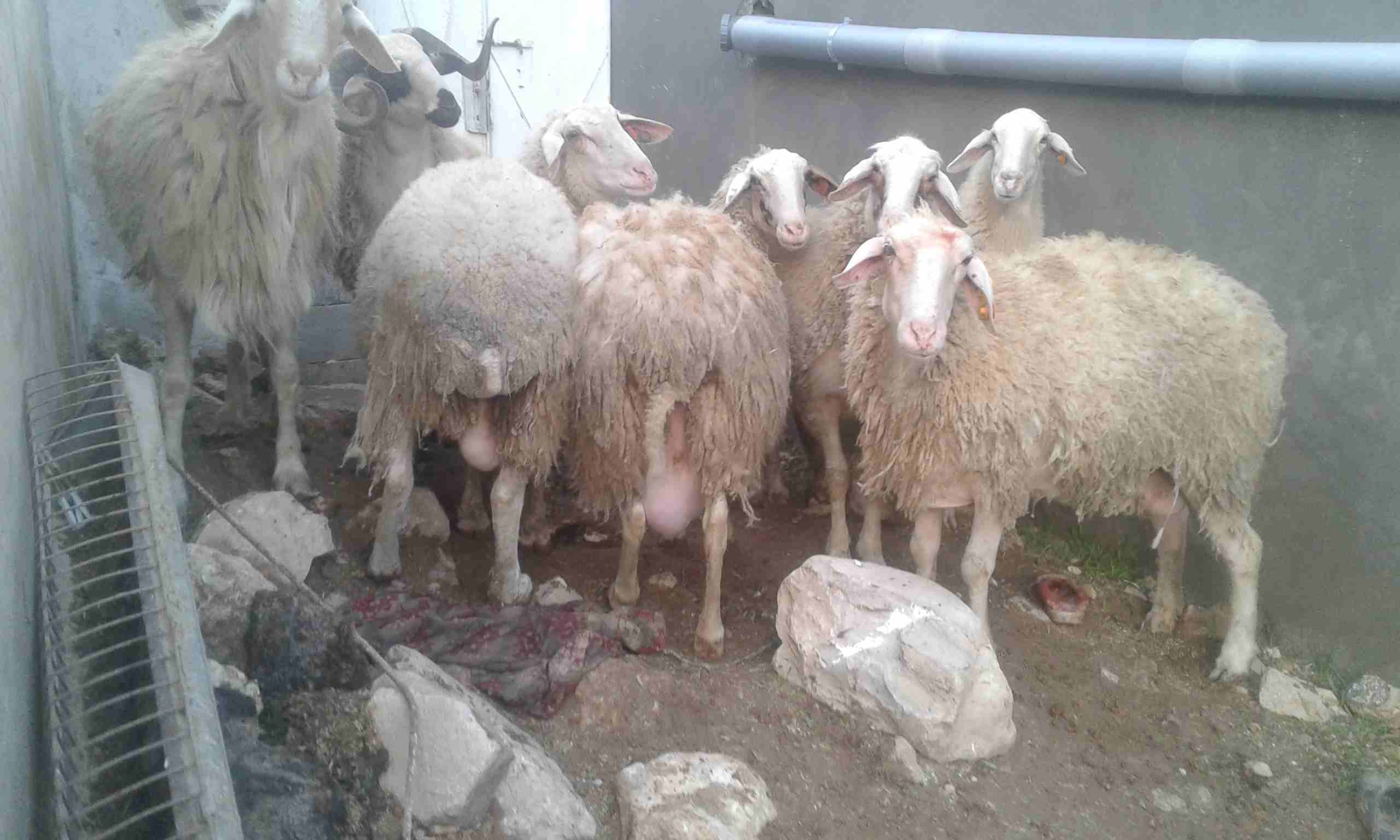 بسم الله ماشاء الله تبارك الرحمن واصلاه واسلام على راسول الله محمد
لا تنسَ أنك شاهدت هذا الإعلان في عنكبوت...