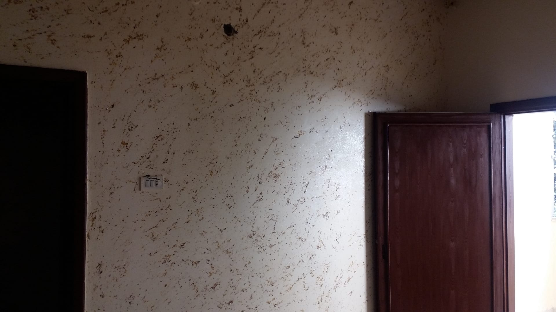 جميع انواع الدهانات والديكورات الحديثه
لا تنسَ أنك شاهدت هذا الإعلان في عنكبوت
دهين ابو عبدو...
