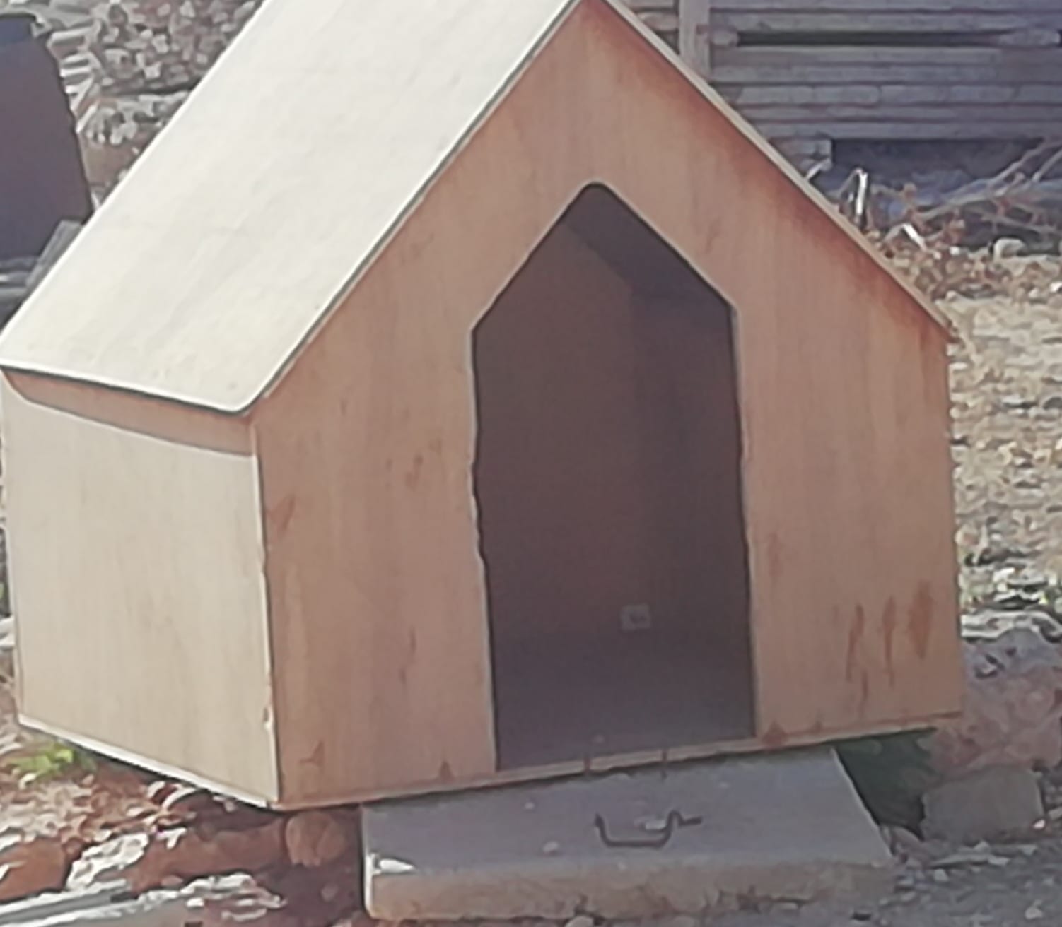 بيت كلب
لا تنسَ أنك شاهدت هذا الإعلان في عنكبوت
120*120*150...