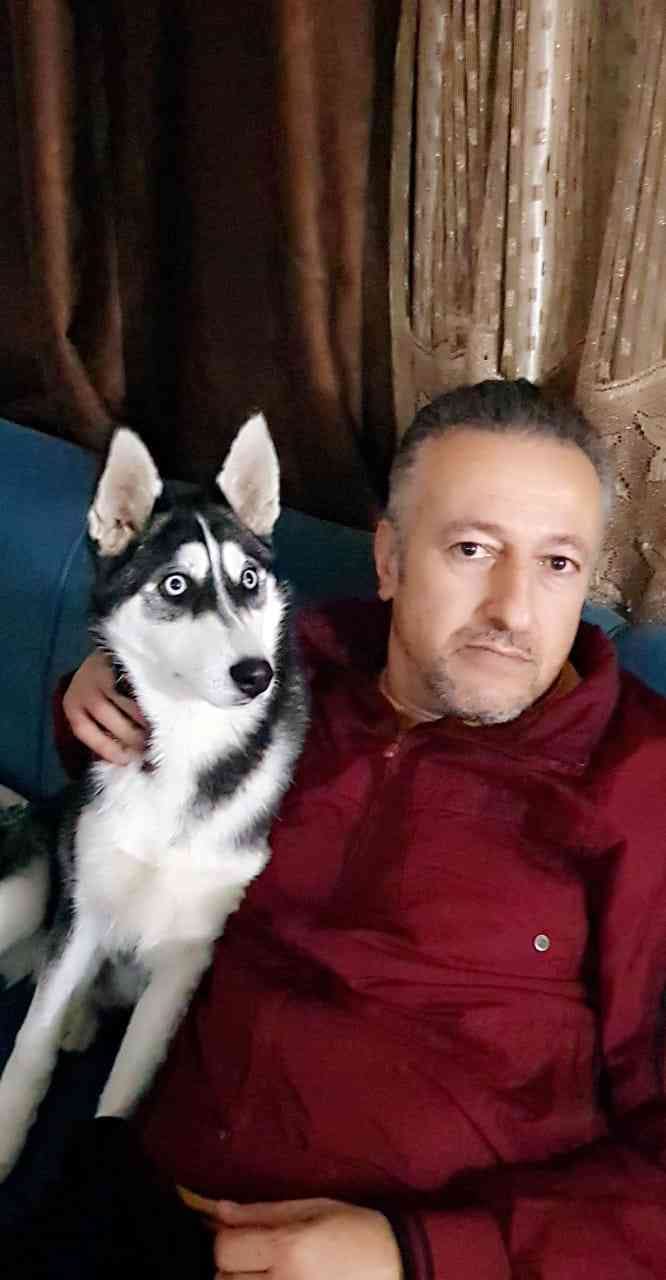 هاسكي بيور
لا تنسَ أنك شاهدت هذا الإعلان في عنكبوت
هاسكي 4 شهور مطعم انثى تربيه منزليه اليف ج...