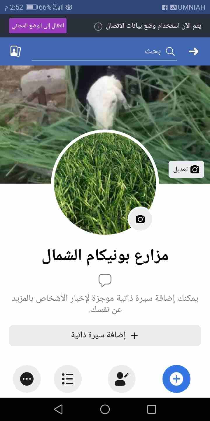 #الأردن #أولا
بونيكام اخضر الأبقار والأغنام والعجول والخيول والماعز زياده في ان
لا تنسَ أنك شاهدت هذا الإعلان في عنكبوت...