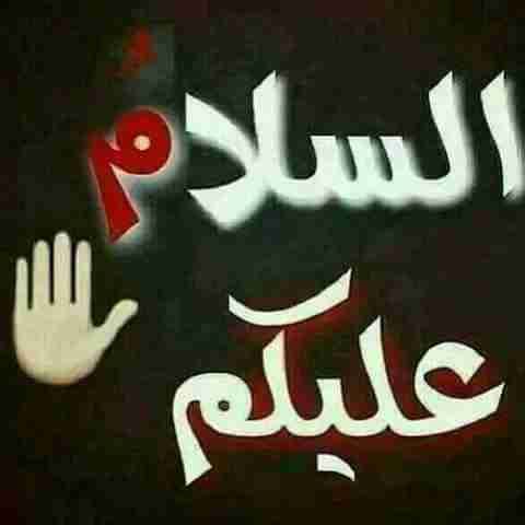 عزل أسطح بالزفته الساخنه أو الرولاات
لا تنسَ أنك شاهدت هذا الإعلان في عنكبوت
عزل أسطح بالزفته...