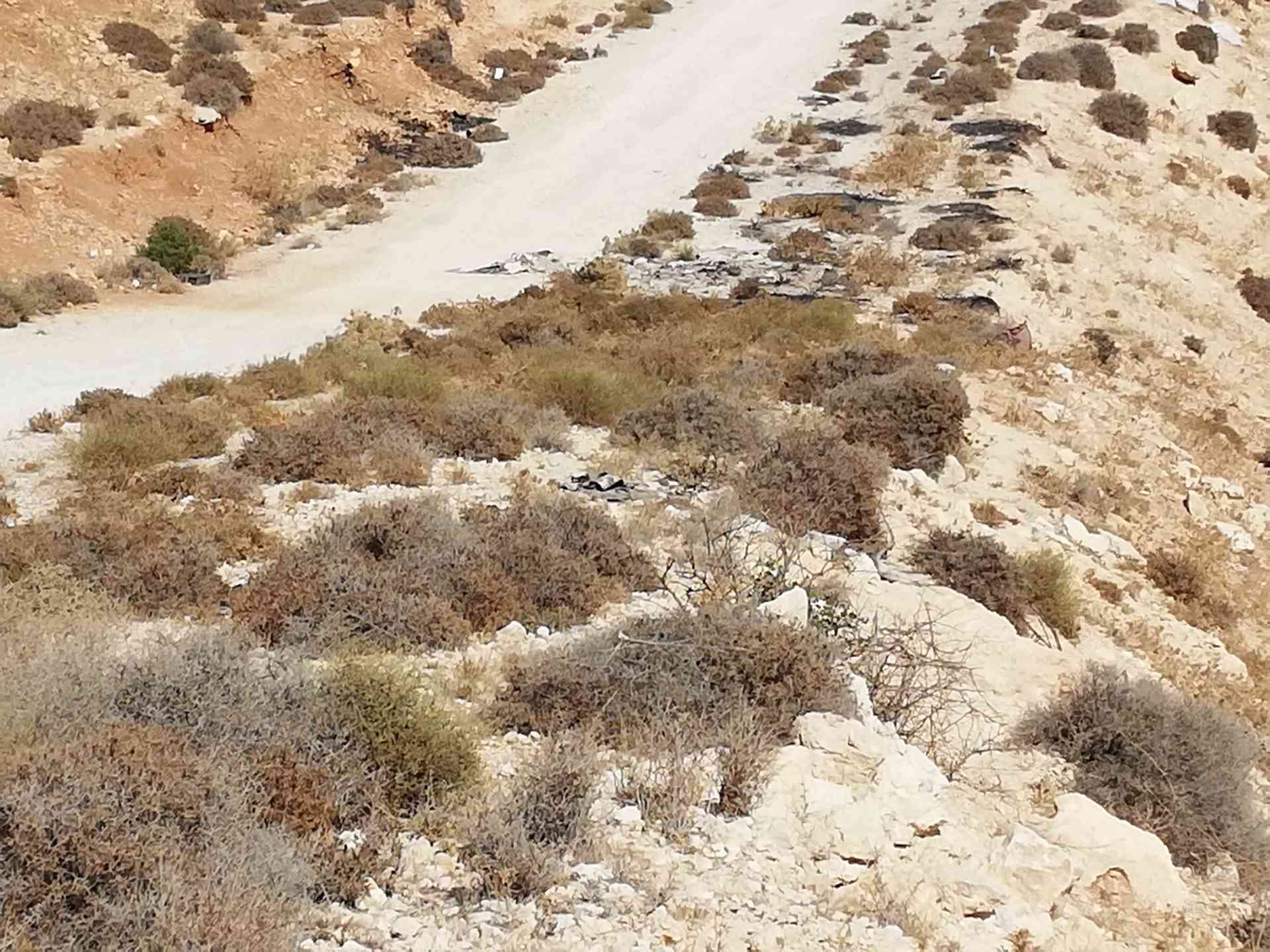 أرض للبيع في أم رمانه حوض الدغيليب اطلاله ولا اروع بسعر مغري جداً جدا
لا تنسَ أنك شاهدت هذا الإعلان في عنكبوت...