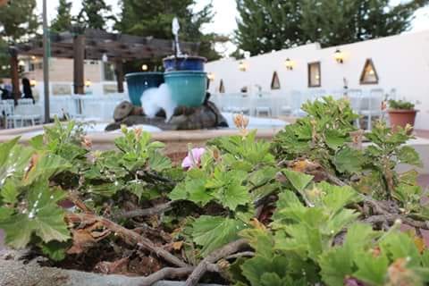 تصوير حفلات بأحدث الكاميرات
لا تنسَ أنك شاهدت هذا الإعلان في عنكبوت
0798689971
-------------------------------...