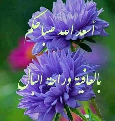 زيت زيتون بلدي
لا تنسَ أنك شاهدت هذا الإعلان في عنكبوت
زيت زيتون بلدي...