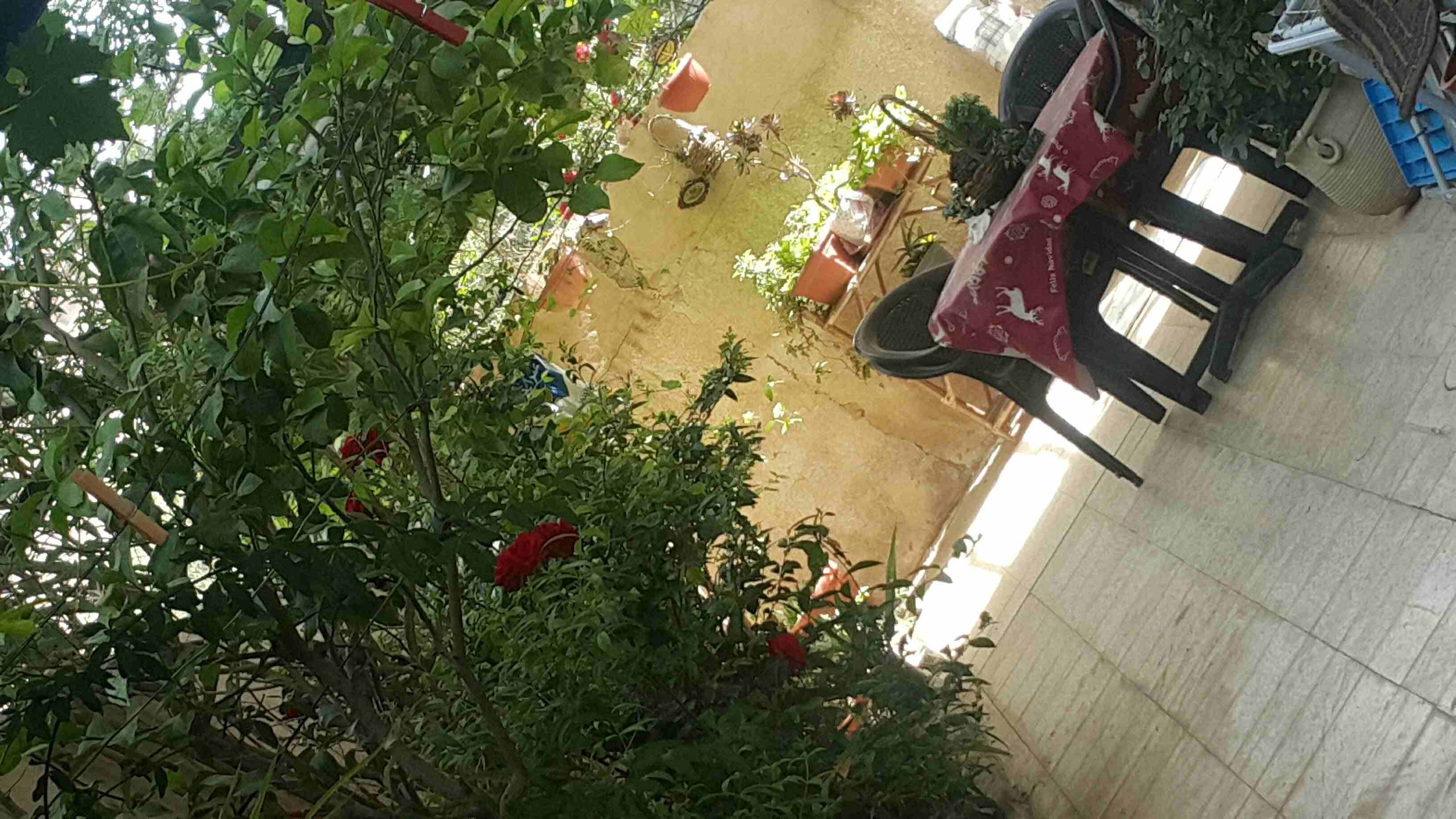 ابو علندا/الرقيم/خلف مطاحن زهرة المدائن شارع عبد الحميد الشوبكي
لا تنسَ أنك شاهدت هذا الإعلان في عنكبوت...