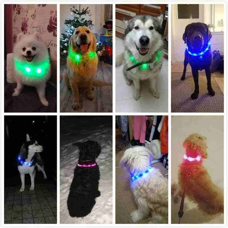 طوق للقطط والكلاب مضيء
لا تنسَ أنك شاهدت هذا الإعلان في عنكبوت
usb rechargeable batteries collar...