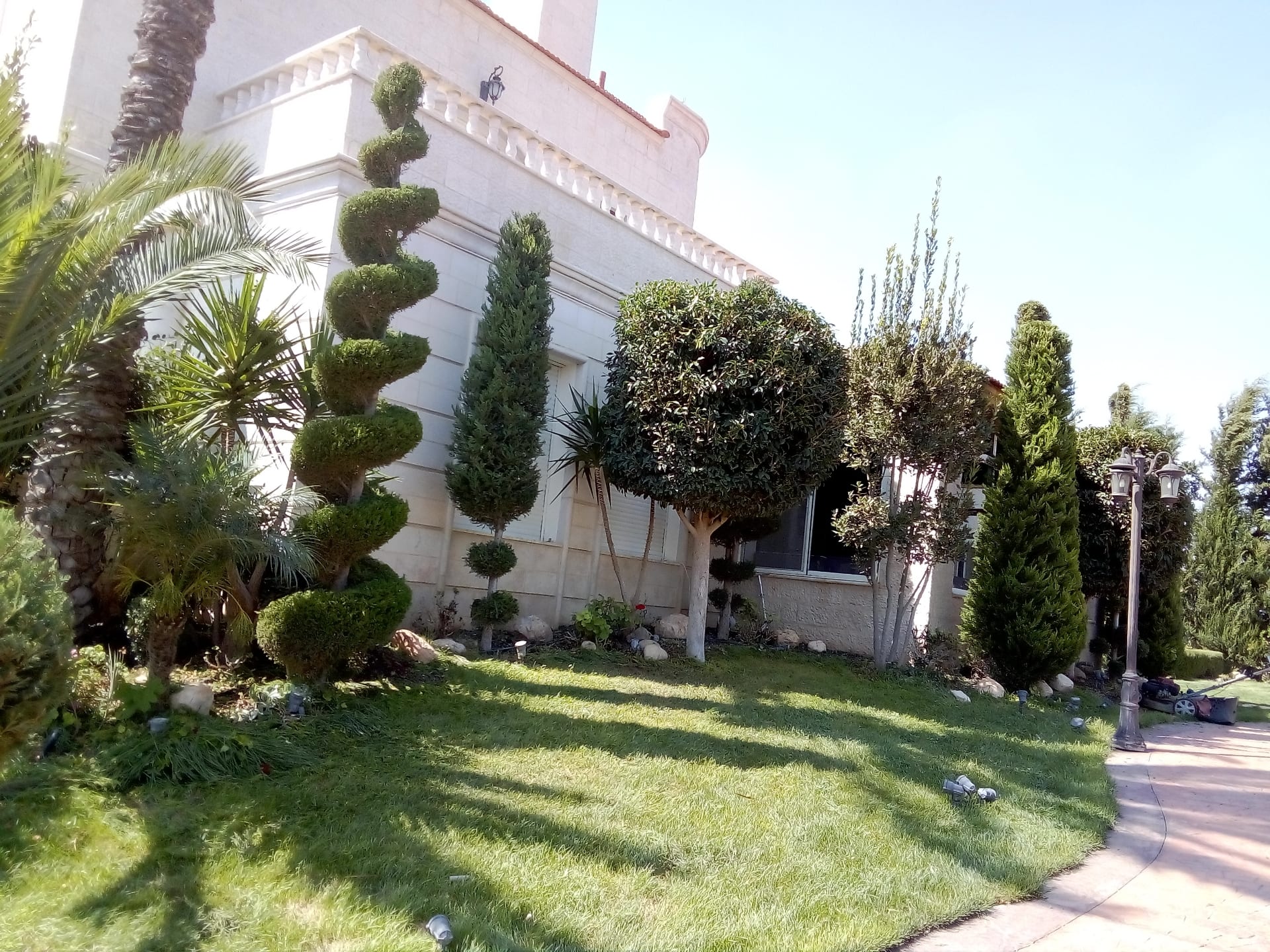 تنسيق حدائق
لا تنسَ أنك شاهدت هذا الإعلان في عنكبوت
تنسيق حدائق 0788445103
رقم الم...