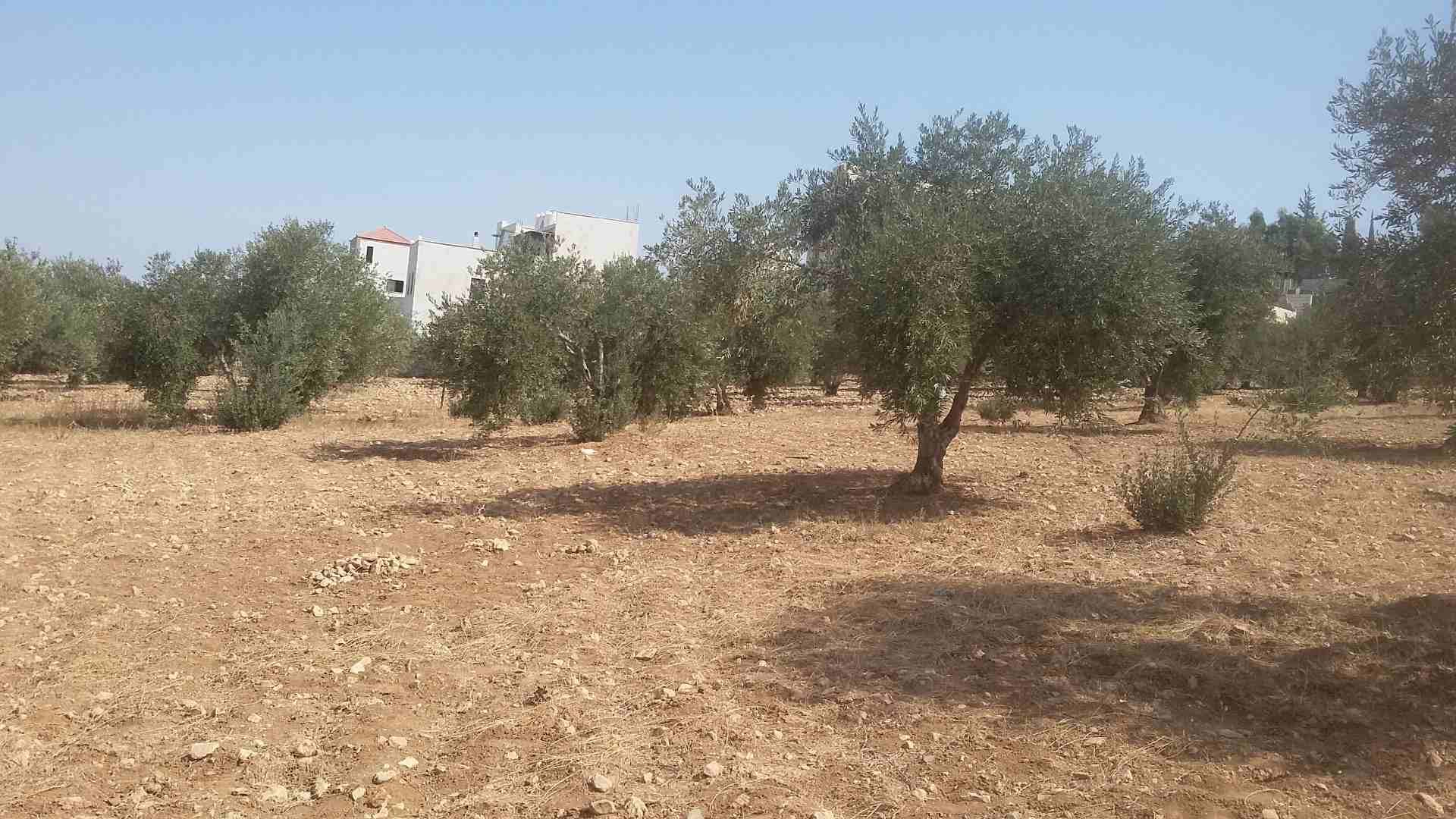 850 متر ابو نصير حوض ام بطمه موقع مميز من المالك
لا تنسَ أنك شاهدت هذا الإعلان في عنكبوت
ارض مسا...