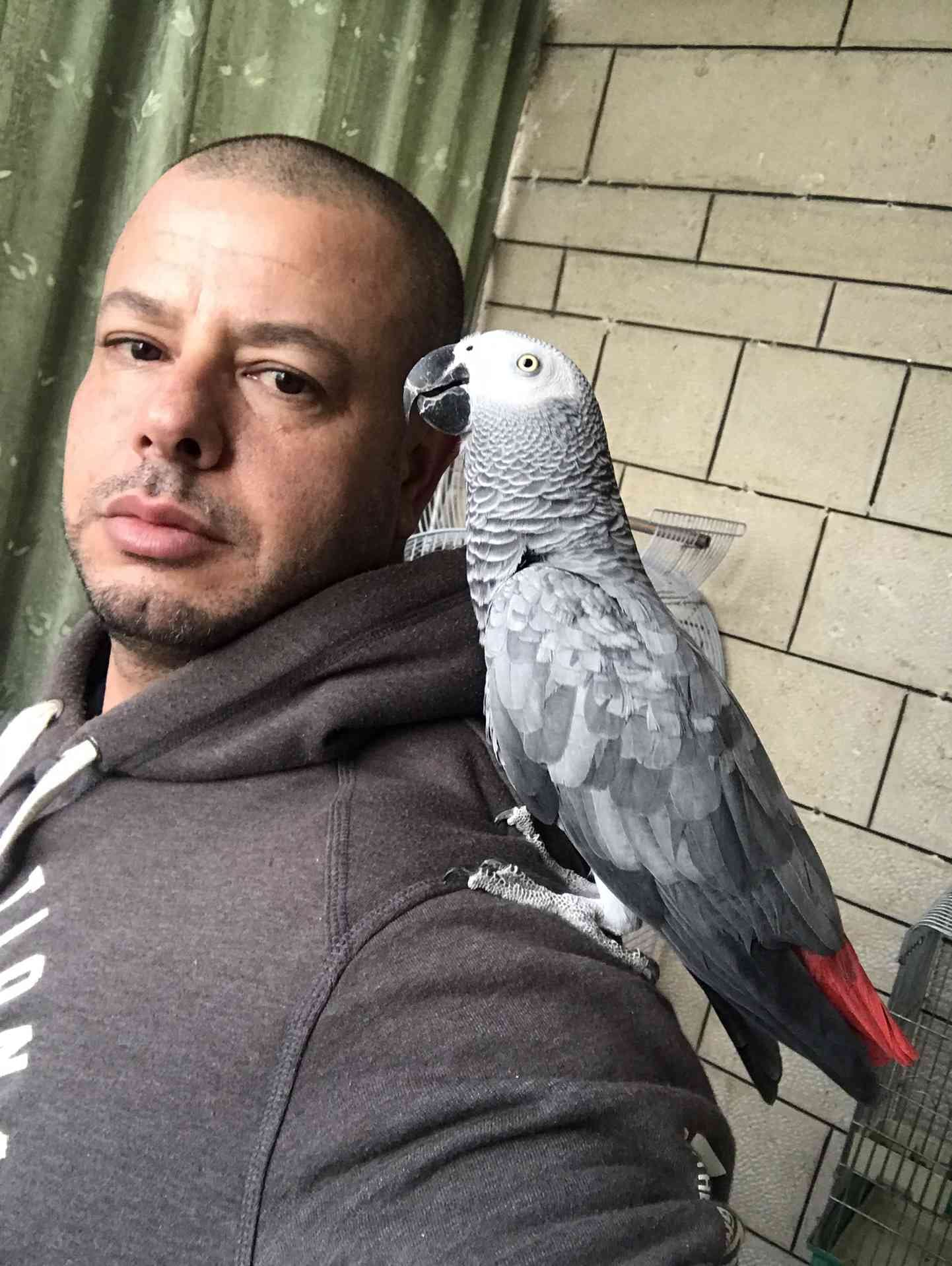 كاسكو لون صدفي اليف متكلم للبيع
لا تنسَ أنك شاهدت هذا الإعلان في عنكبوت
كاسكو عمرو سنه ونص ال...