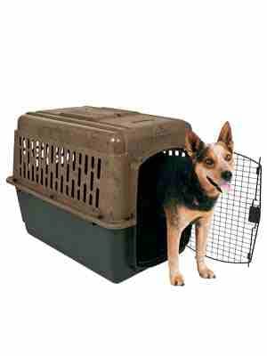 Ruffmaxx Camouflage Kennel - New
لا تنسَ أنك شاهدت هذا الإعلان في عنكبوت
Brand new Ruffmaxx kenne...