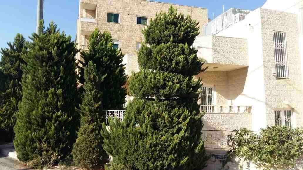 فيلا للبيع ضاجية اللامير حسن 250 الف دينار
لا تنسَ أنك شاهدت هذا الإعلان في عنكبوت
فيلا للبيع مكو...