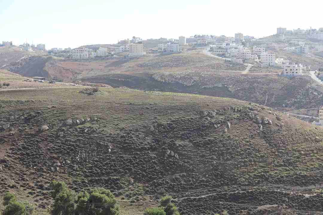 760م للبيع غرب عمان الدمينه
لا تنسَ أنك شاهدت هذا الإعلان في عنكبوت
أرض للبيع , الدمينه , خلف الظ...