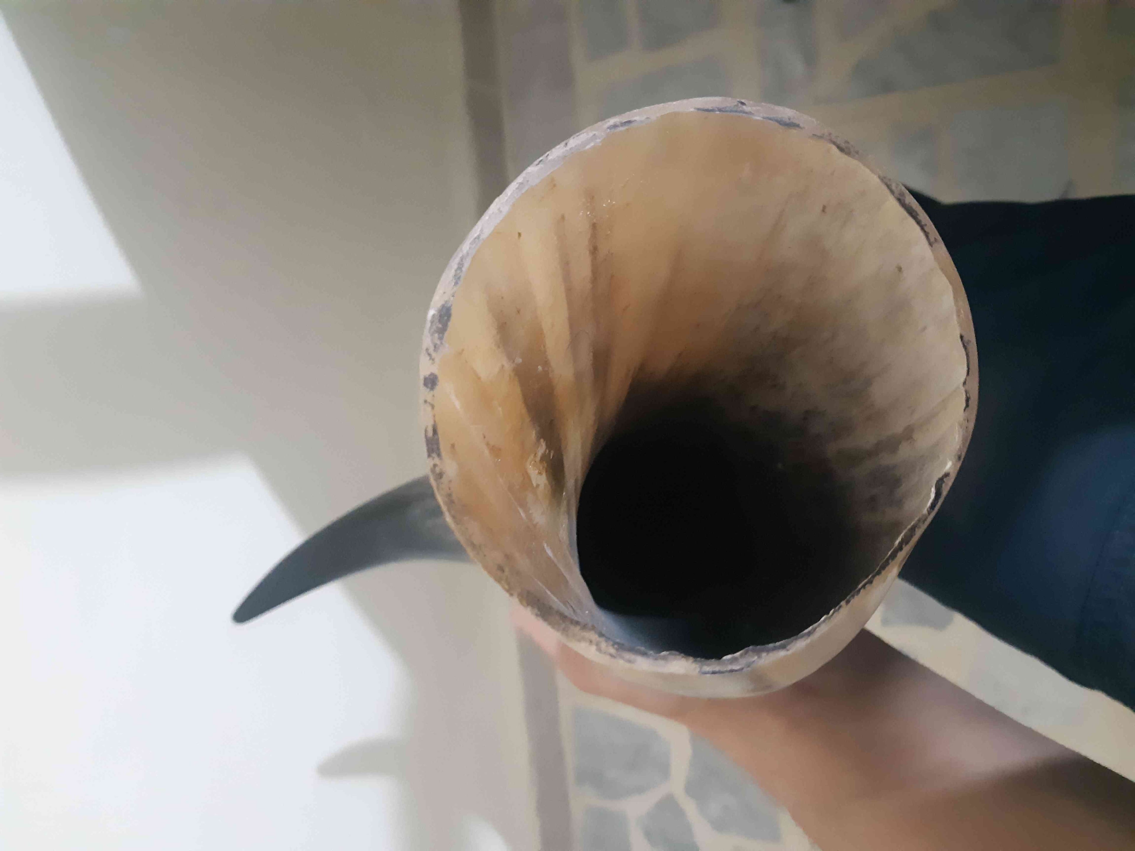 قرون جاموس مفرغه للبيع قرون
لا تنسَ أنك شاهدت هذا الإعلان في عنكبوت
قرون جاموس عدد 4 للبيع...