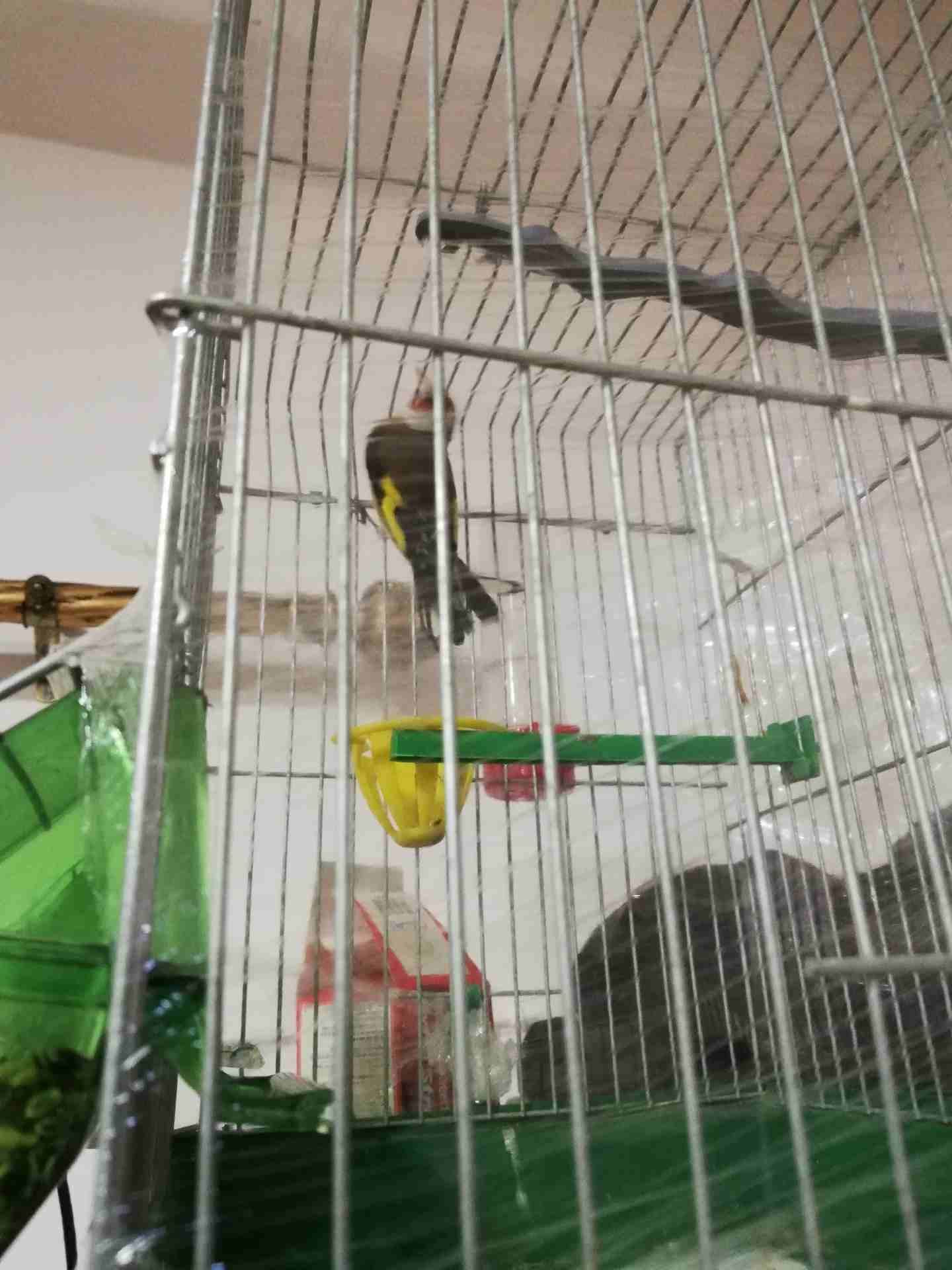 للبيع 75 كلهم مع بعض القطع السعر غير
لا تنسَ أنك شاهدت هذا الإعلان في عنكبوت
للاستفسار على رقم 07...