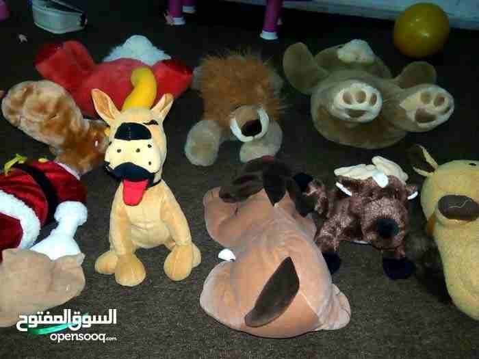 تشكيلة العاب جيدة
لا تنسَ أنك شاهدت هذا الإعلان في عنكبوت
العاب اطفال مشكل مع بطاريات وعادي أحجام...