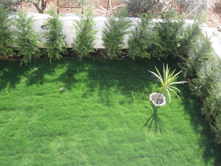 مؤسسة الحديقه العصريه لتنسيق الحدائق
لا تنسَ أنك شاهدت هذا الإعلان في عنكبوت
كل ما يلزم الحدي...