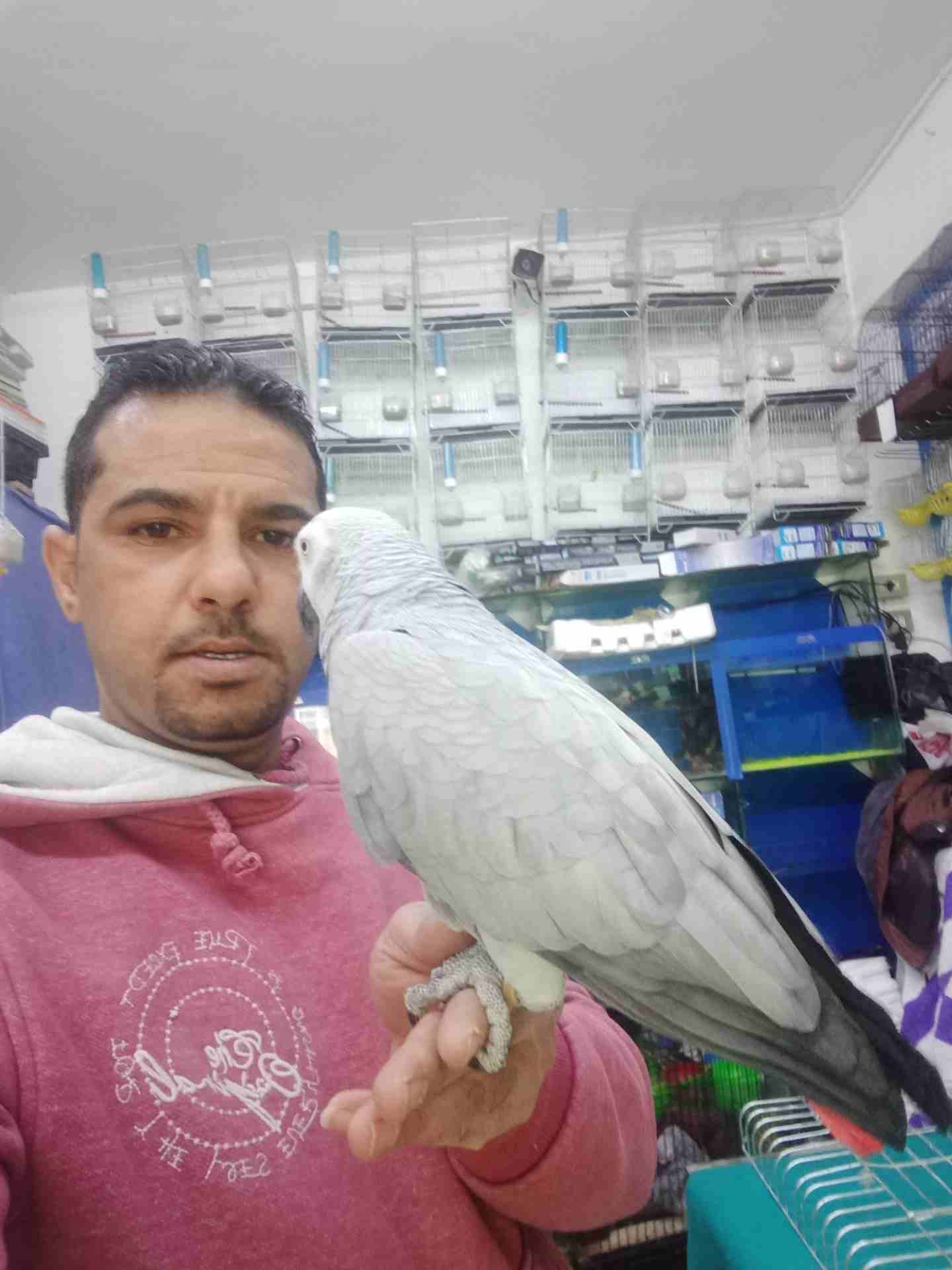 الى عشاق التميز والنوادر #كاسكو_مزرعه ثوب مش ثلجي ثوب #ابيض_سك متكلم م
لا تنسَ أنك شاهدت هذا الإعلان في عنكبوت...