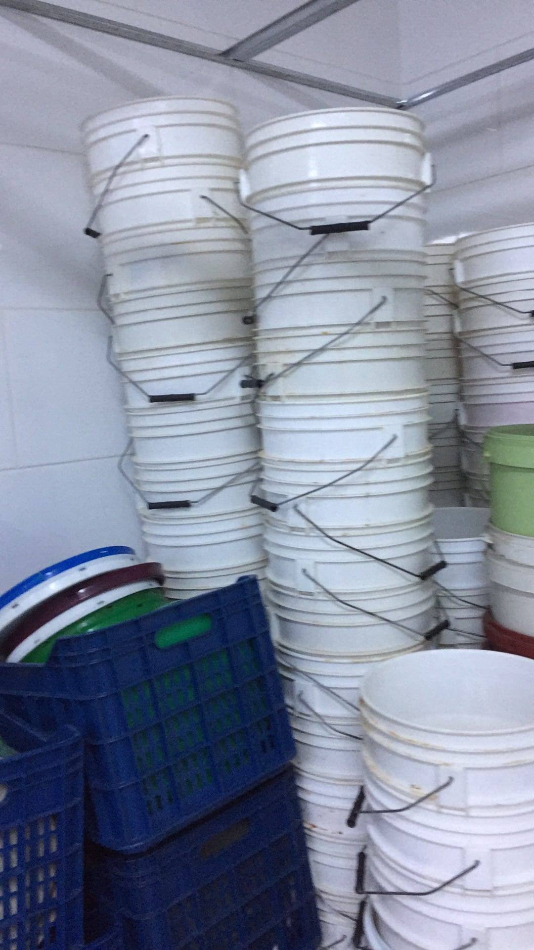 طبالي أيطالي وسطول بلاستيك
لا تنسَ أنك شاهدت هذا الإعلان في عنكبوت
﷽﷽﷽
طبالي أيطالي ضد الكسر...