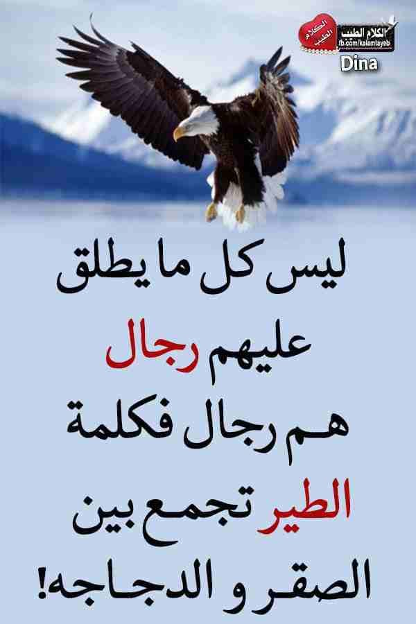مطلوب غرفه للايجار بسعر مناسب
لا تنسَ أنك شاهدت هذا الإعلان في عنكبوت
مطلوب غرفه مع منافعها للايج...